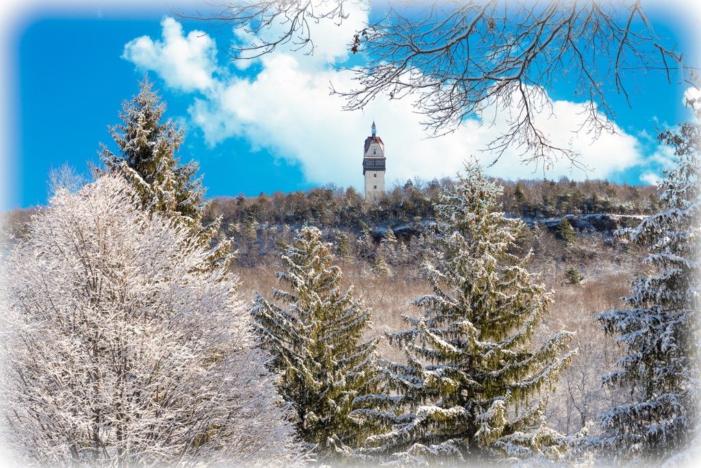 The Day After the Snow Storm by Bill Payne