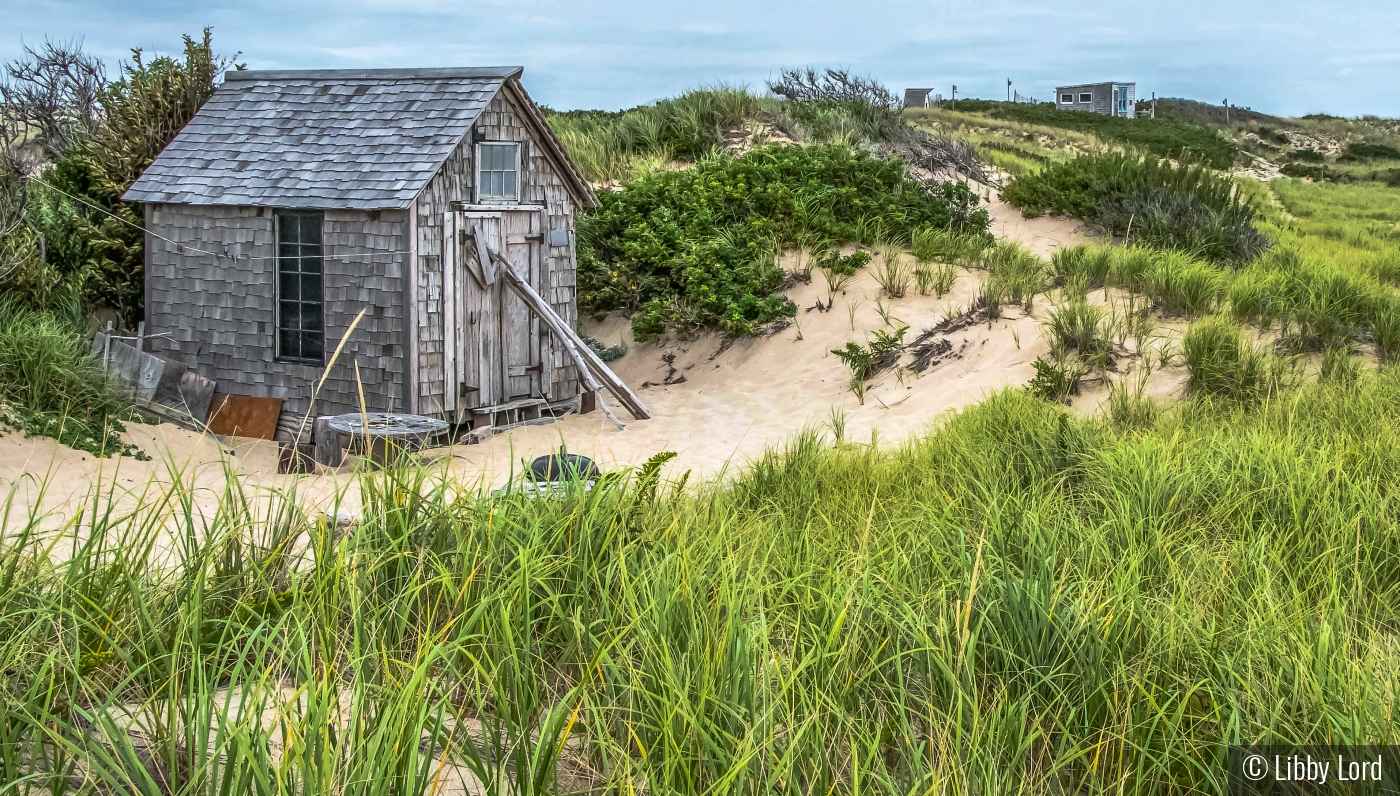 The Dune Shack by Libby Lord