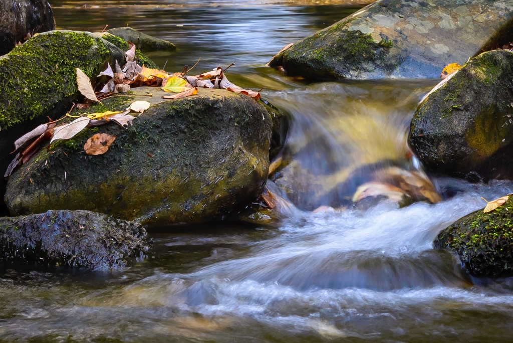 The End of the Pool by Bill Payne