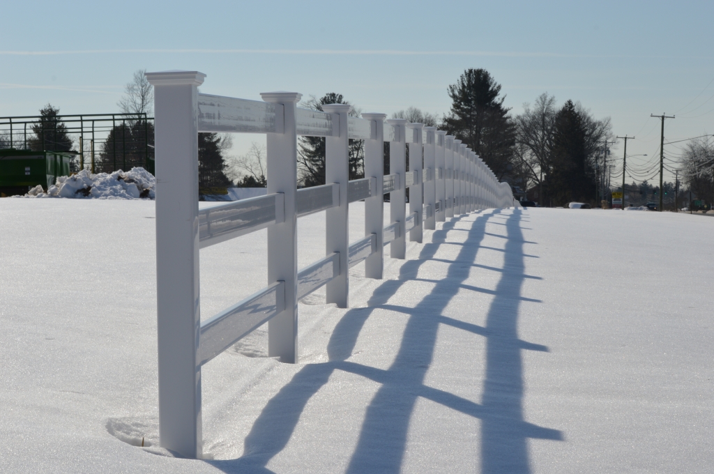 The Fence's Shadow by Charles Hall