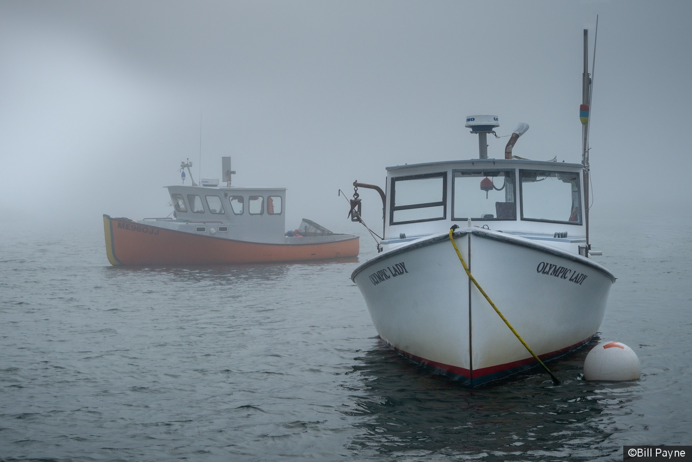 The Fog is Clearing by Bill Payne