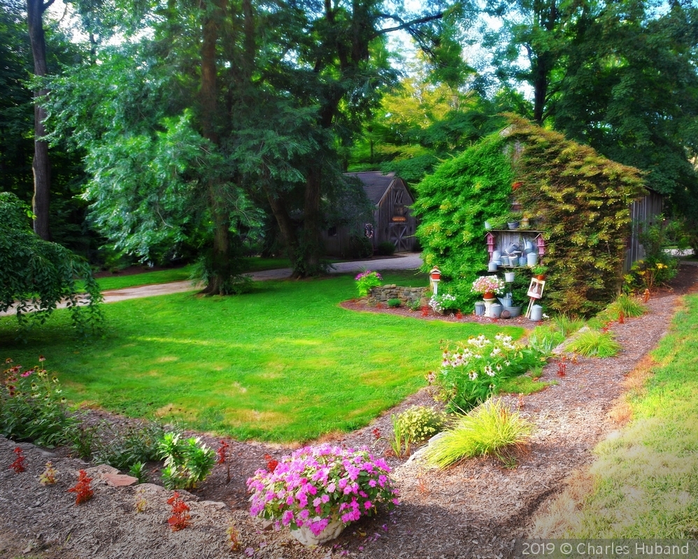 The garden on the back wall by Charles Huband