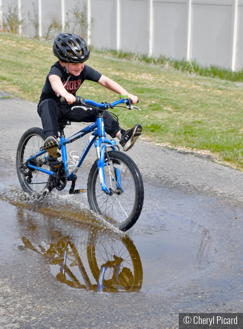 The Joy of Puddles by Cheryl Picard