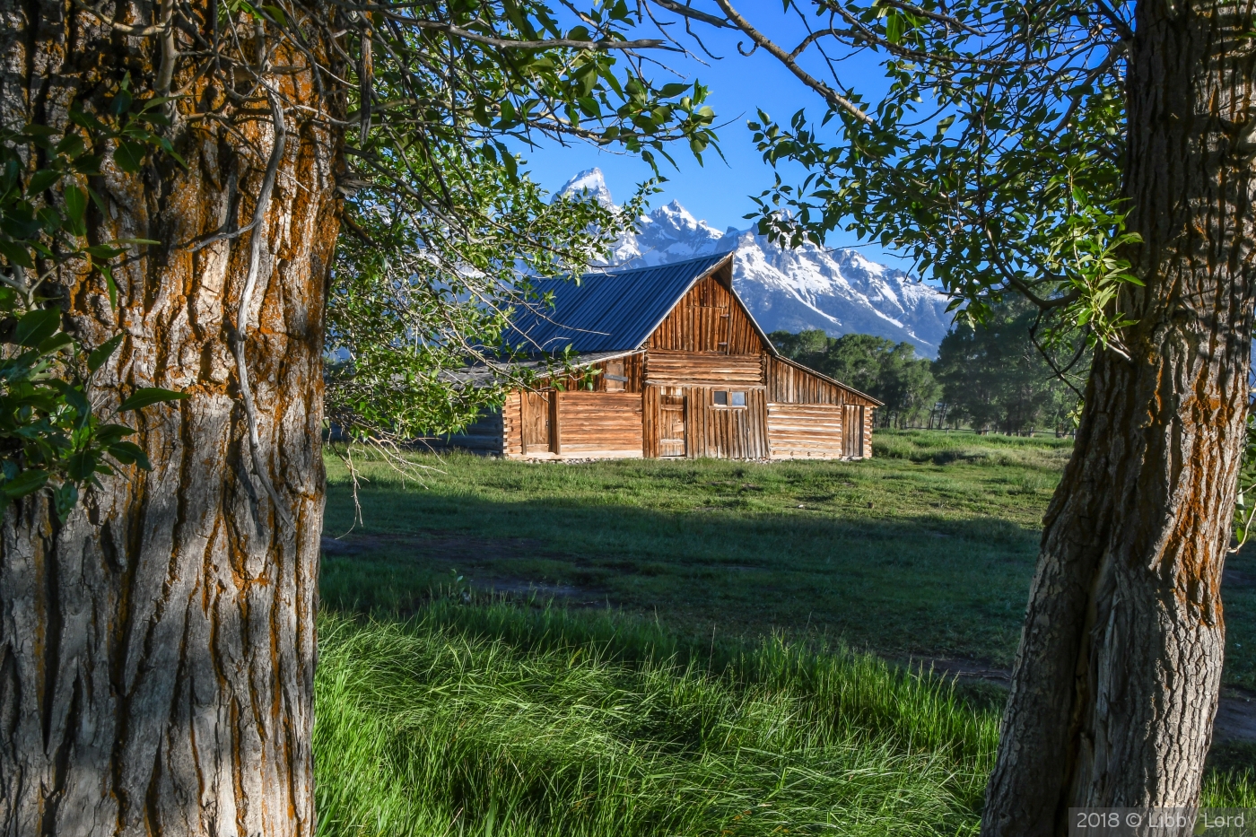 The Moulton Barn by Libby Lord