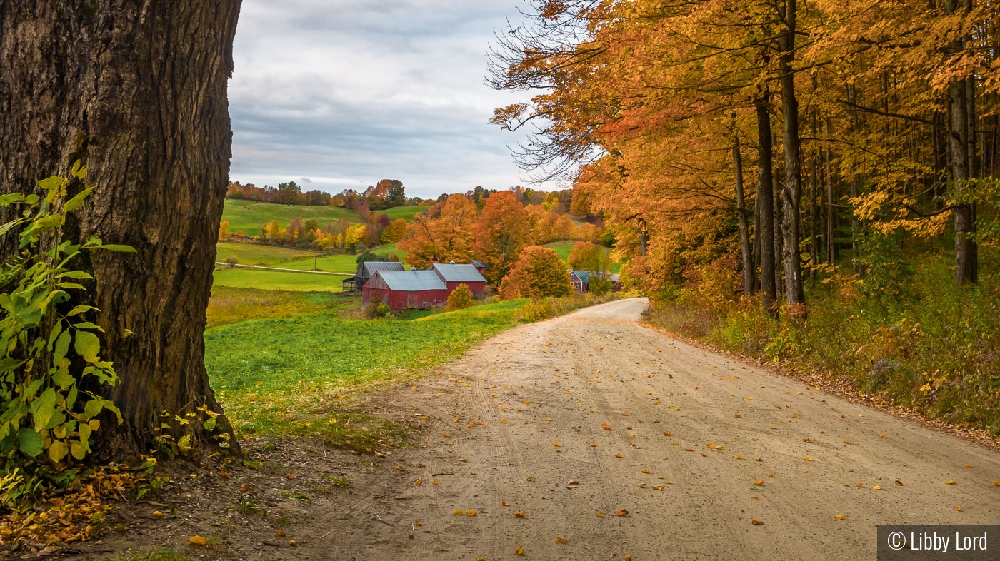 The Road to Jenne Farm by Libby Lord