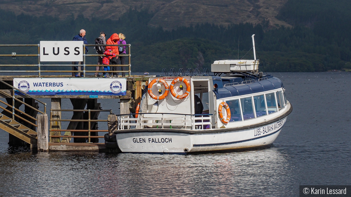 The Waterbus by Karin Lessard