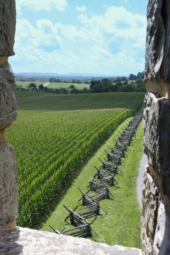 Through the Fort Window by Pamela Carter