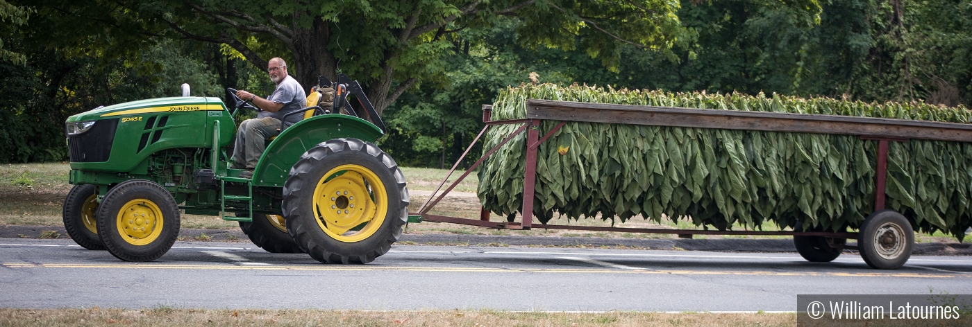 Tobacco Road by William Latournes