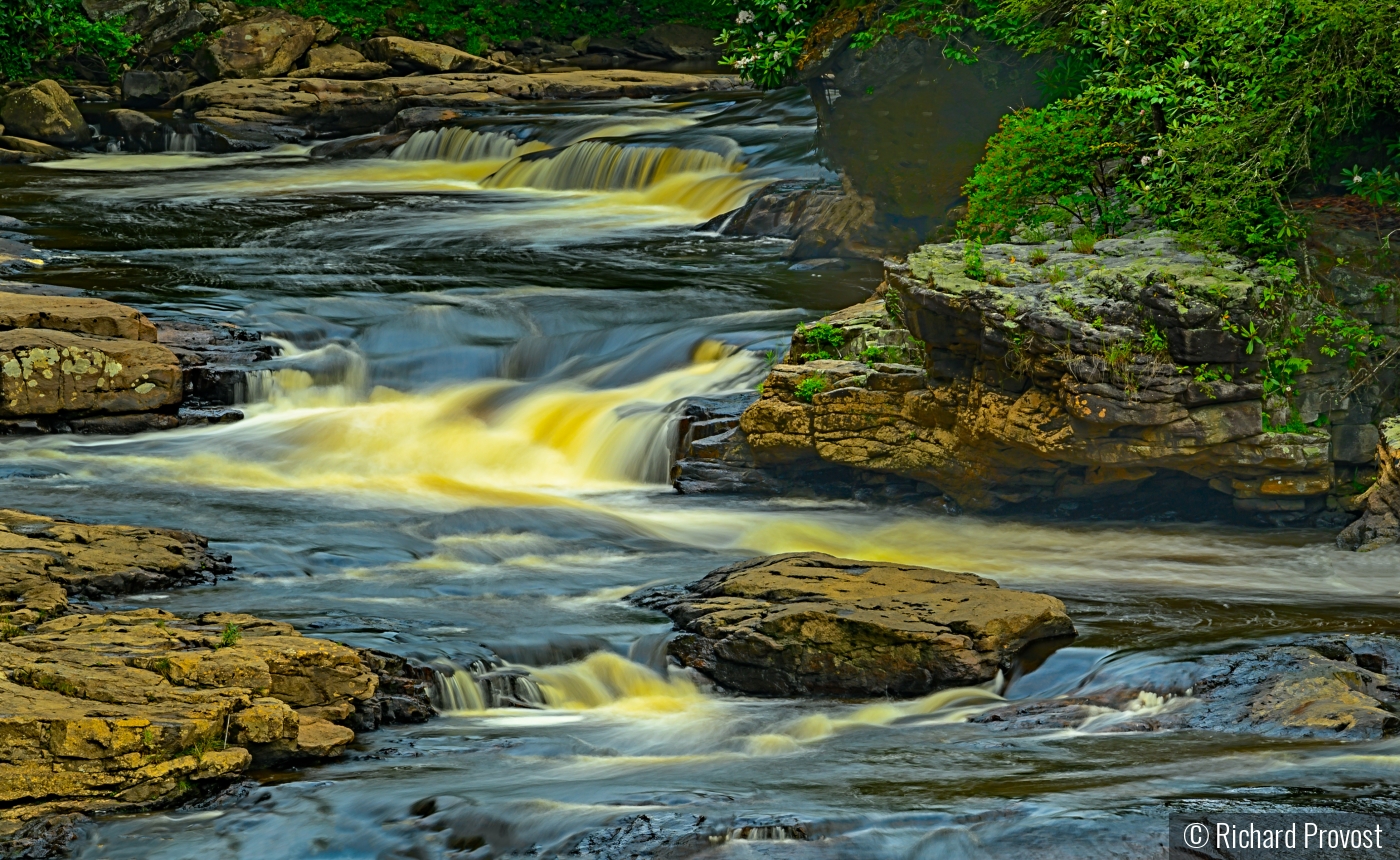 Top of Blackwater falls, WV by Richard Provost