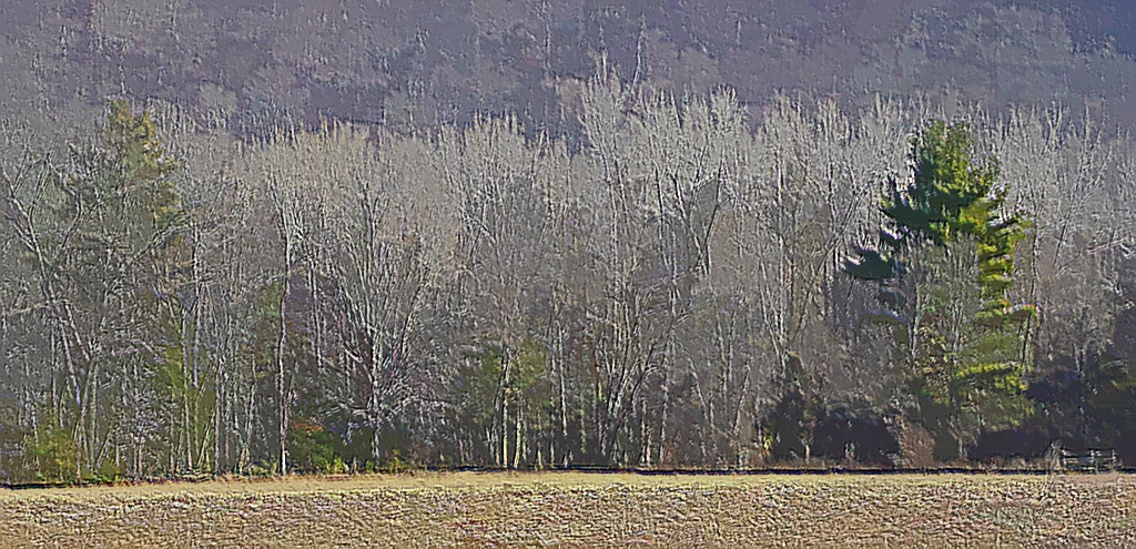 Toward Talcot Mountain by Bruce Metzger