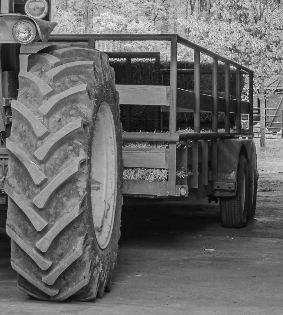 Tractor Tire by Pamela Carter