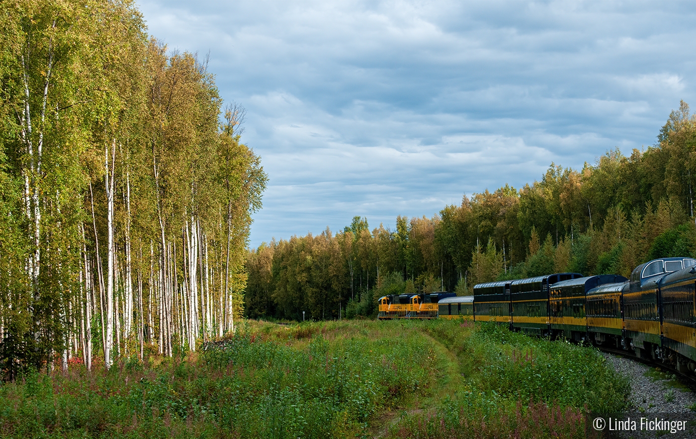 Train to Denali by Linda Fickinger