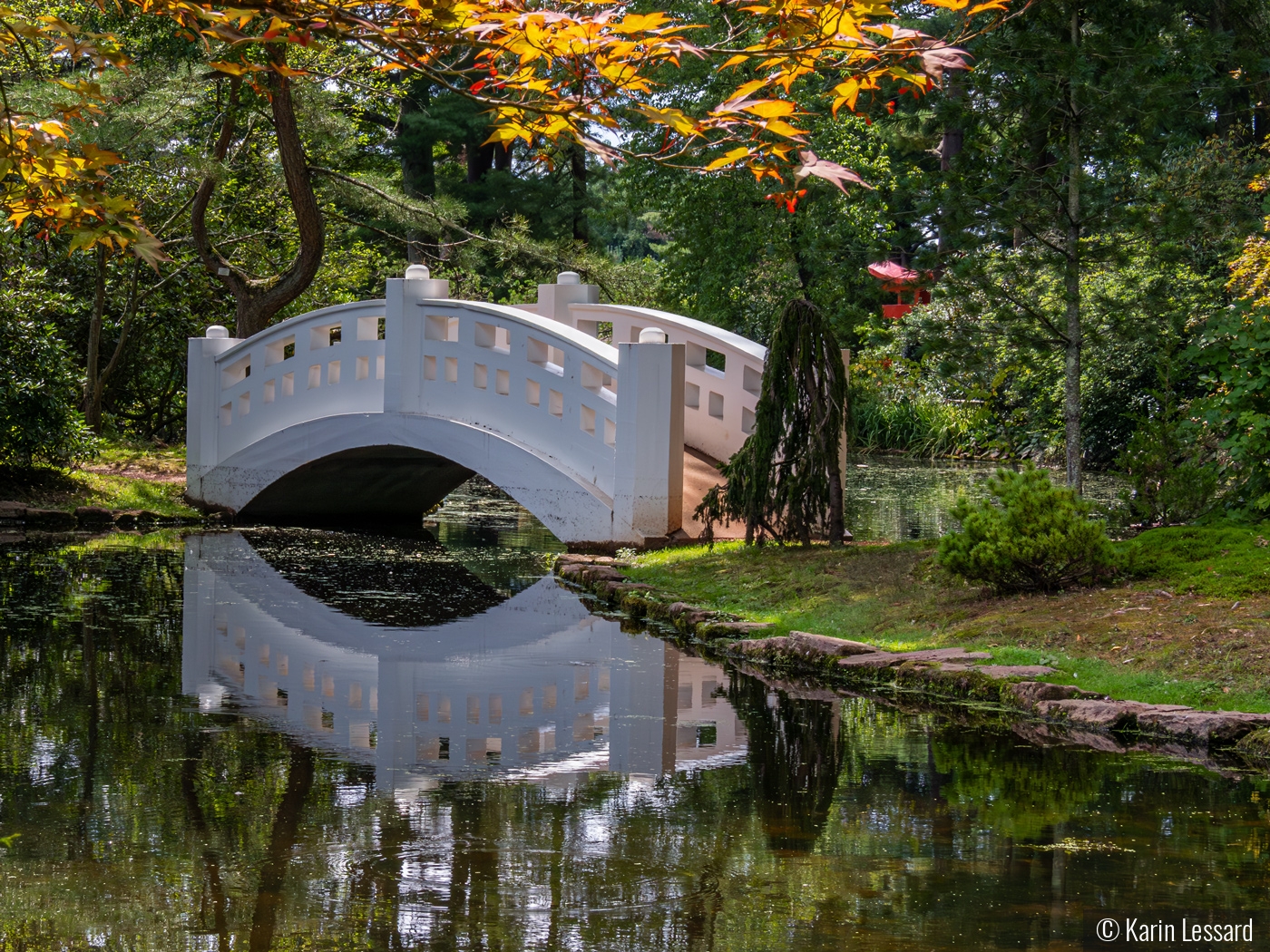 Tranquil Garden by Karin Lessard