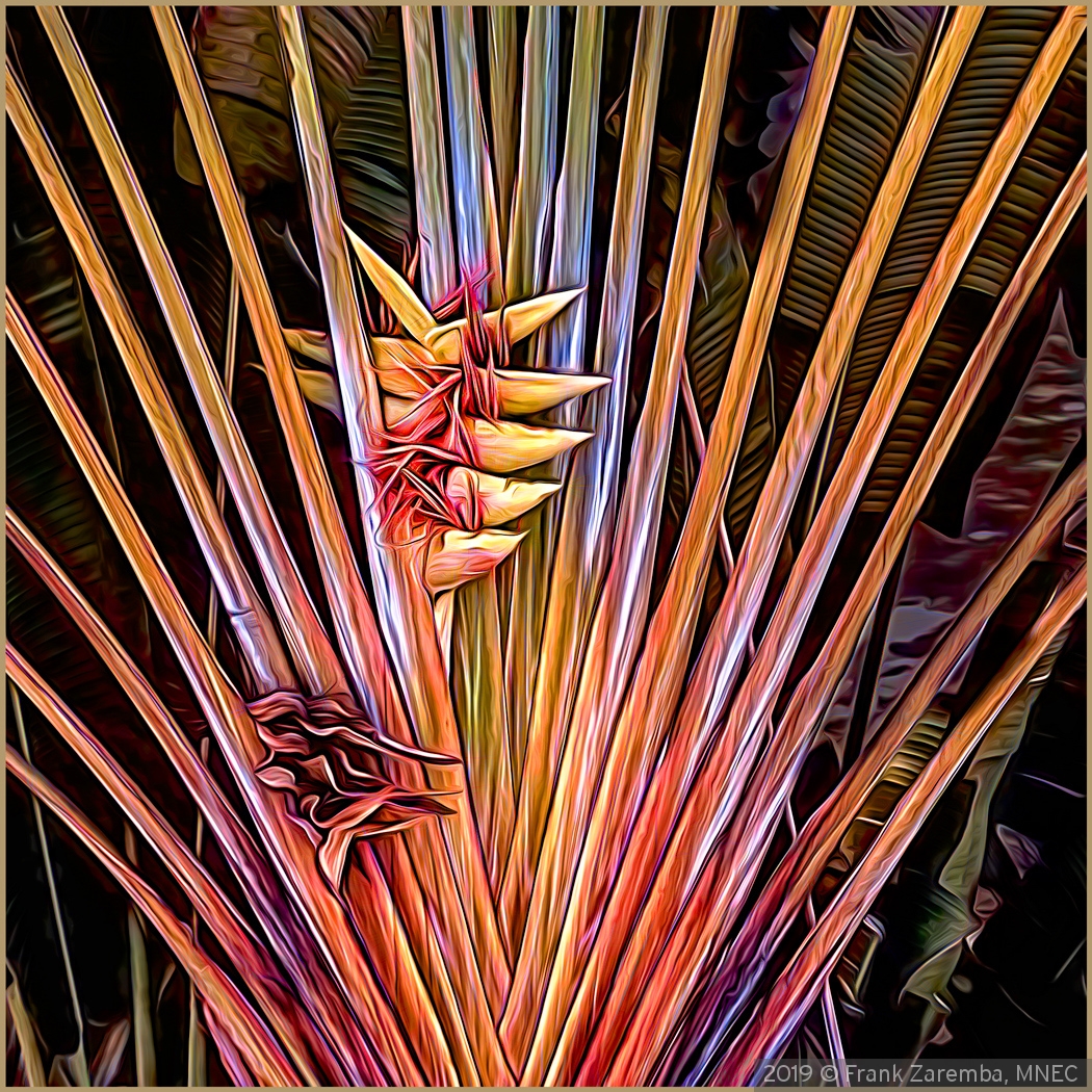 Travelers Palm by Frank Zaremba, MNEC