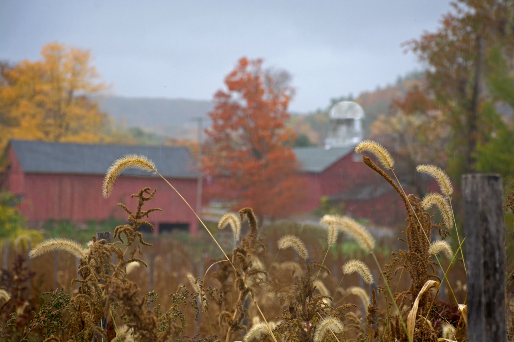 tulmeadow farm by Ginny Thibodeau