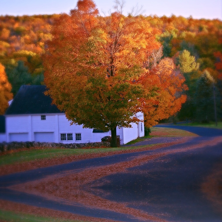 Twisted Road by Kris Anderson