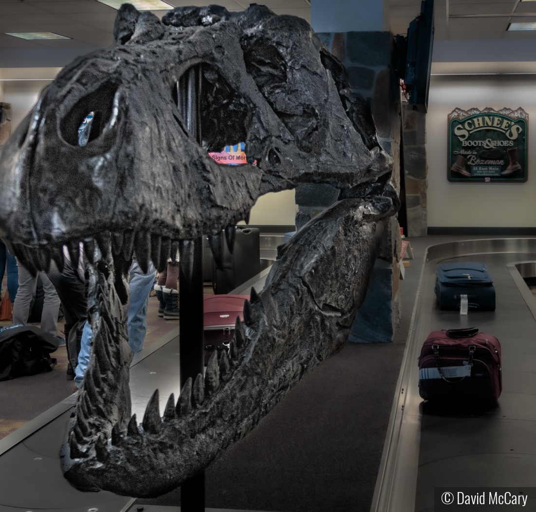 Tyrannosaurus Rex at Baggage Claim by David McCary