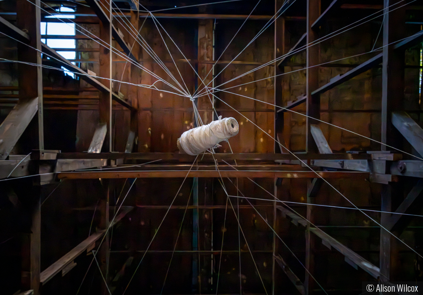 Unspooling of a Tobacco Barn by Alison Wilcox