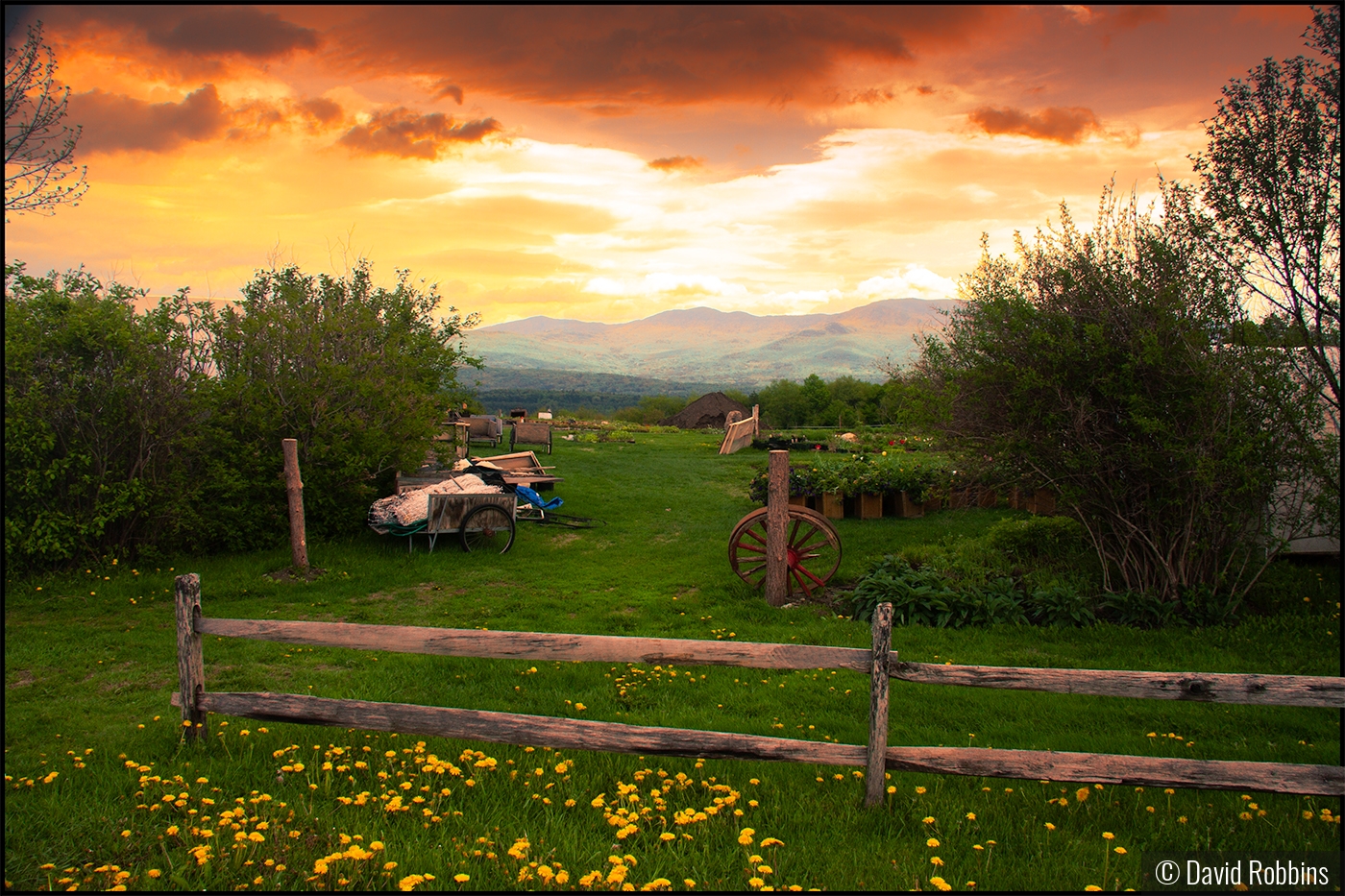 Vermont Golden Hour by David Robbins