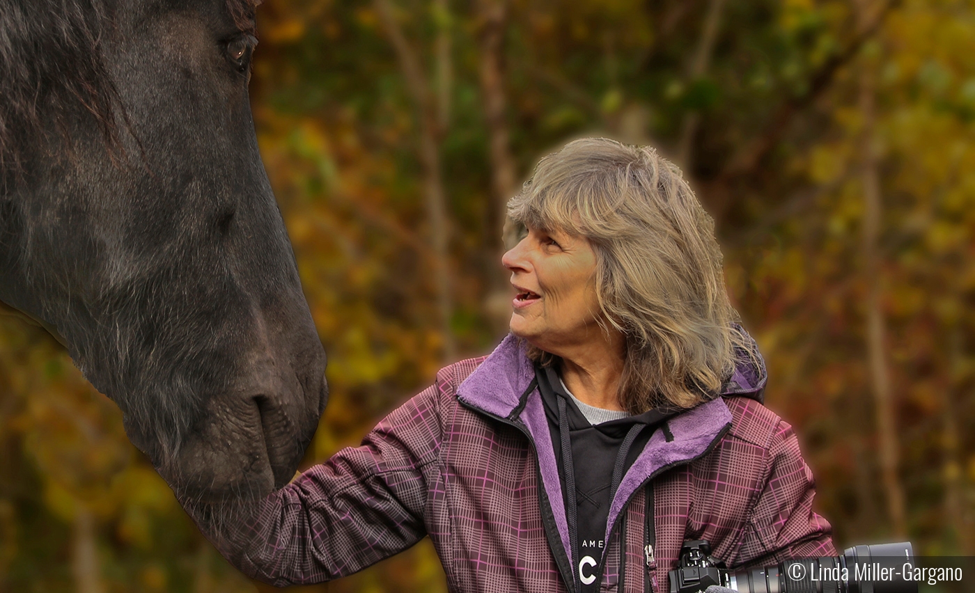 Visiting an Old Friend by Linda Miller-Gargano