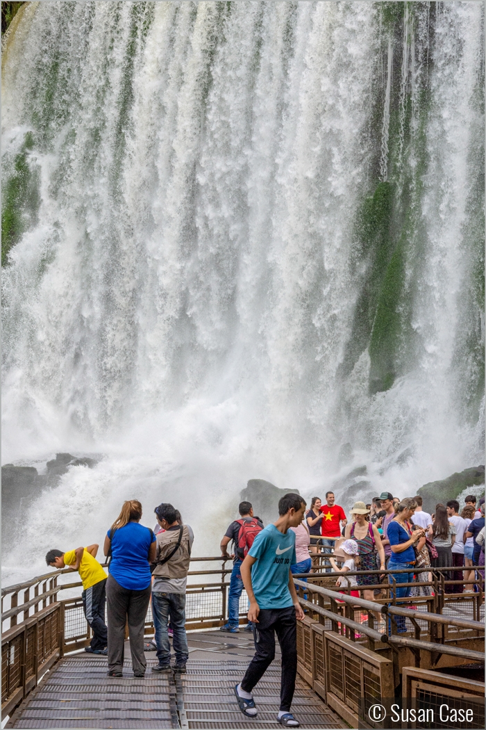 Wall of Water by Susan Case