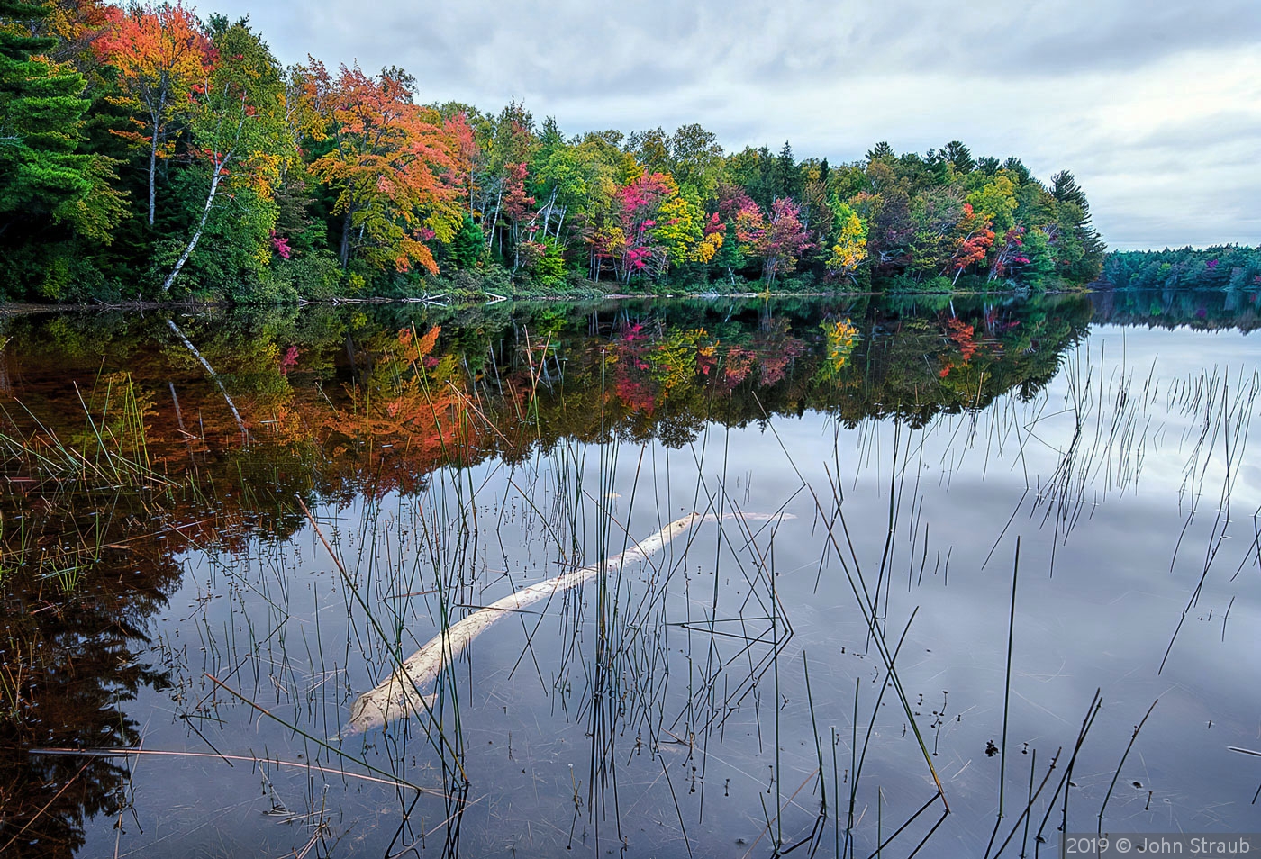 Warm Colors Near Dusk of a Gray Day by John Straub