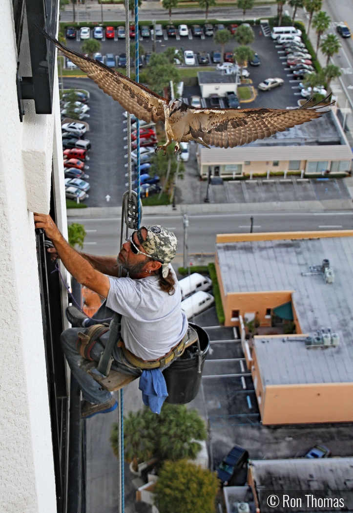 Window washer flying hazard by Ron Thomas