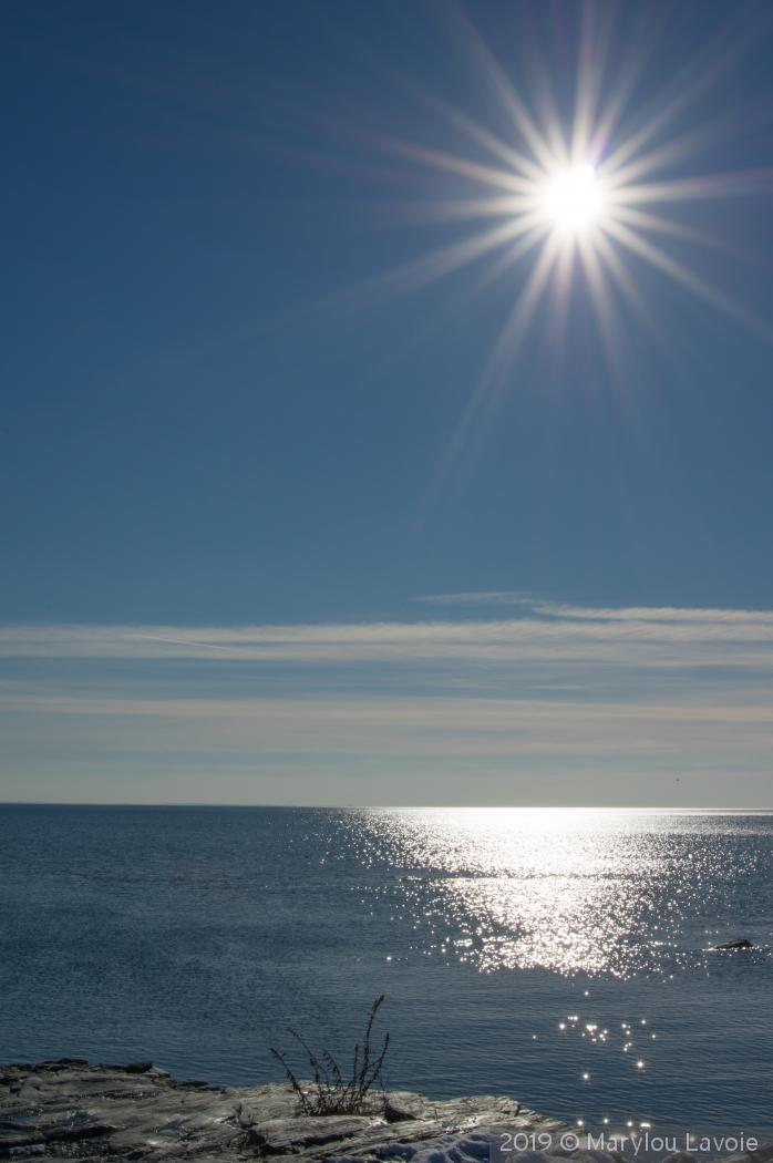 Winter Beach by Marylou Lavoie