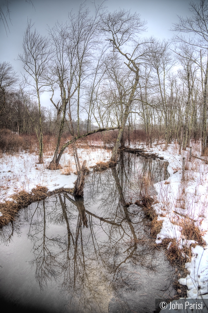 winter scene by John Parisi