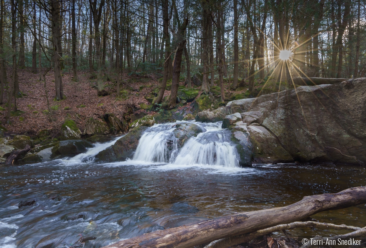 Winter's sun at Enders Falls by Terri-Ann Snediker