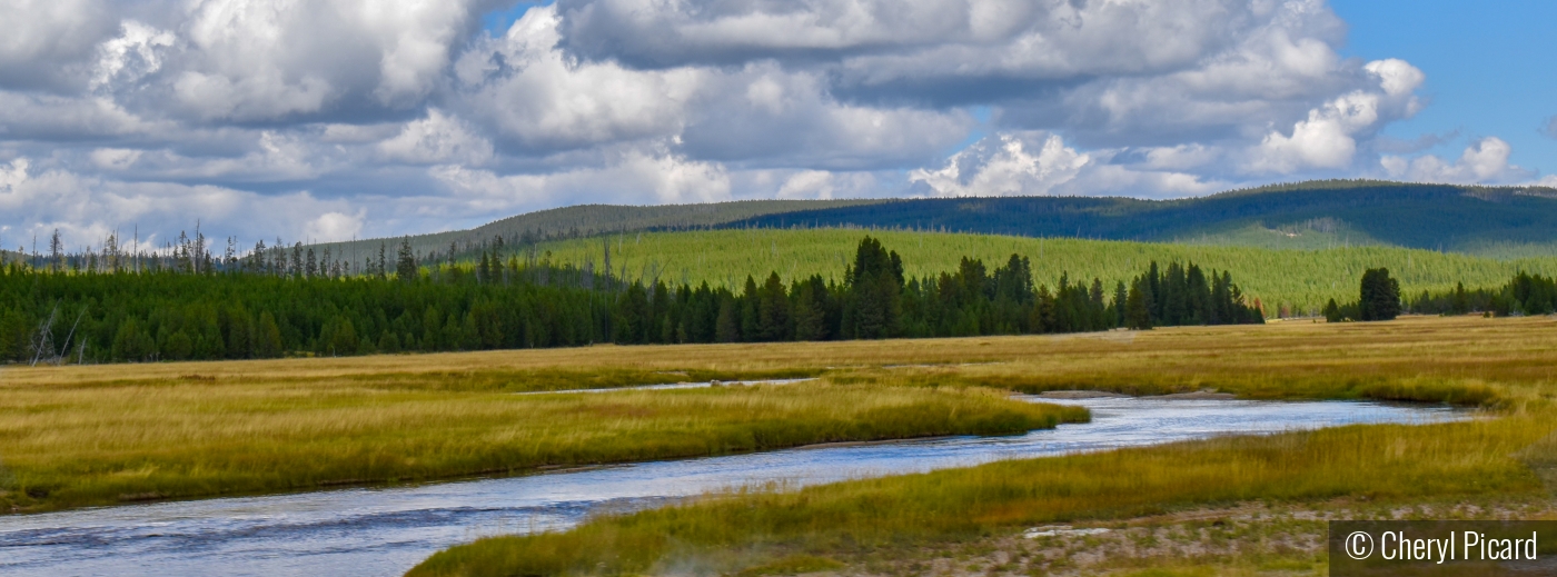 Yellowstone's Color Palette by Cheryl Picard