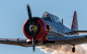 A close shave - Photo by Tim Abbuhl