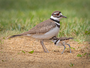 A hug for mom. - Photo by Merle Yoder