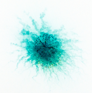 A Night Painted In Watercolor - Photo by Julie Keller