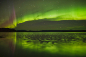 A Splash of Color - Photo by Ben Skaught