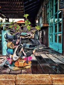 Abandoned Shoe Planter - Photo by Dolores Brown