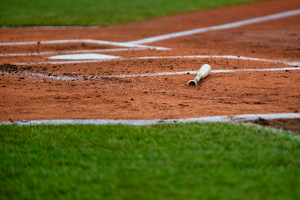 After the Hit - Photo by Mike Sperber