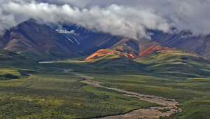 Alaska Denali National Park Eielson Overlook - Photo by Ron Thomas