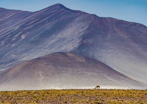 Alone - Photo by Eric Wolfe