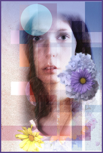 Amy Composite 1 - Photo by David Robbins