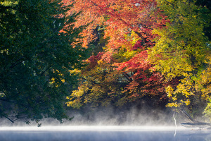 An autumn morning by Farmington River- Avon, CT - Photo by Aadarsh Gopalakrishna