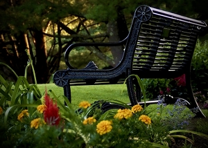 Class B 1st: An Empty Bench by Quyen Phan