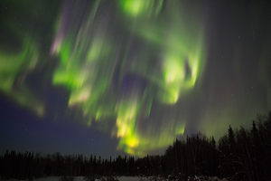 An Explosion of Color - Photo by Ben Skaught