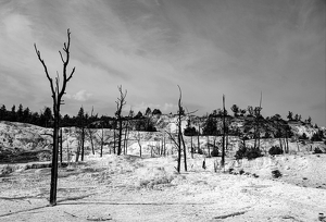 Angel Terrace - Photo by Jim Patrina