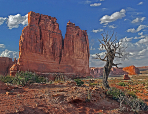 Arches National Park Utah - Photo by Ron Thomas