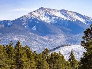 Arizona--December - Photo by Mark Tegtmeier