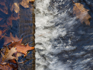 At The Edge - Photo by Karin Lessard