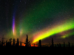 Aurora (with "Steve") - Photo by Bert Sirkin