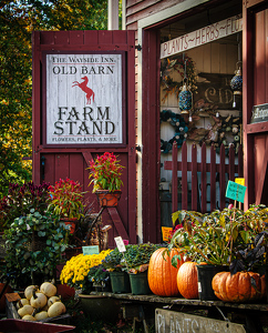 Class A HM: Autumn at the Farm Stand by Linda Fickinger