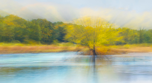 Autumn Exuberance - Photo by Bob Ferrante